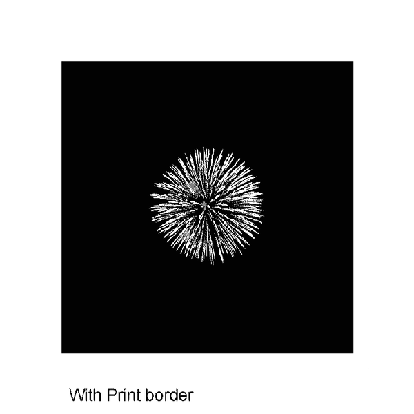 Toyko_fire_work-wall-art-photo