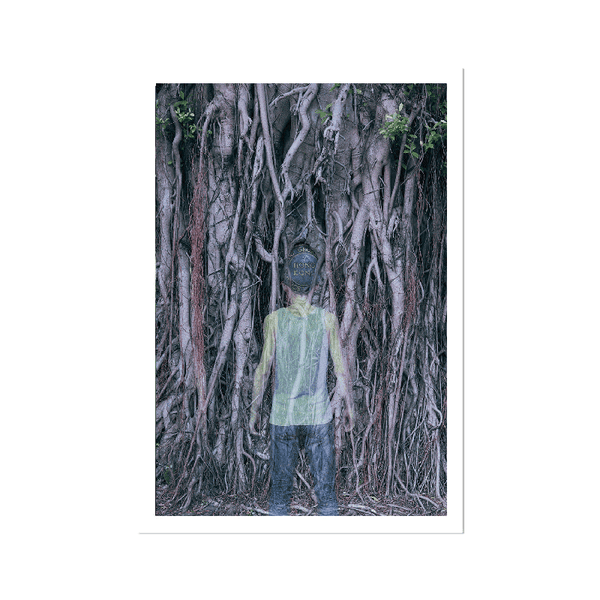 king_george_v_park_broder  