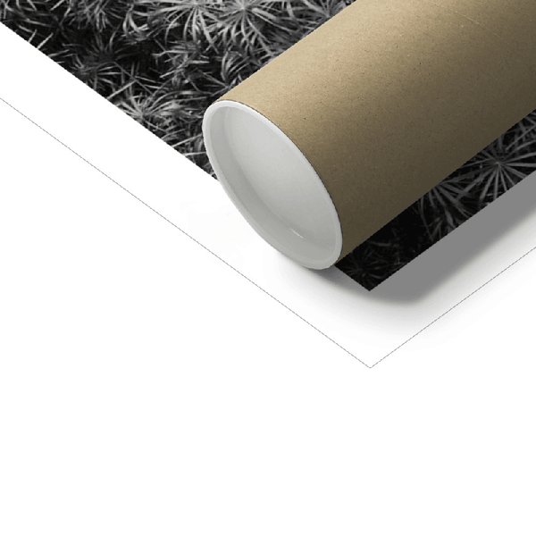 September Okinawa -Japan Landscape Wall Art, Black And White Photography Art Print - ManChingKC Photography